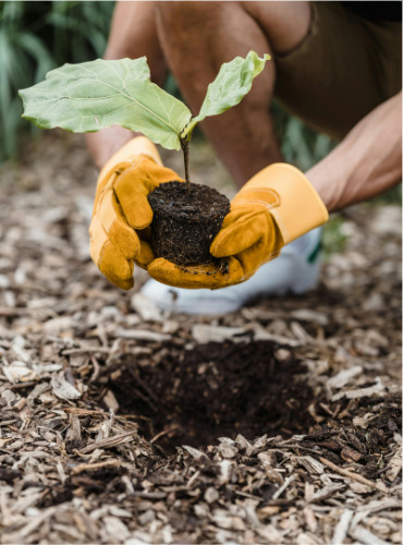 Gestión ambiental